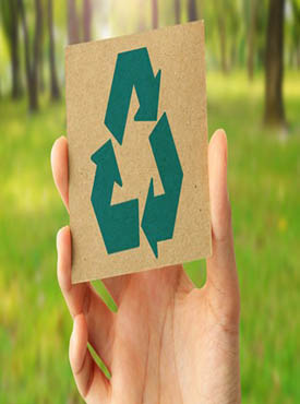 Nuestra marca propia es Ecofriendly